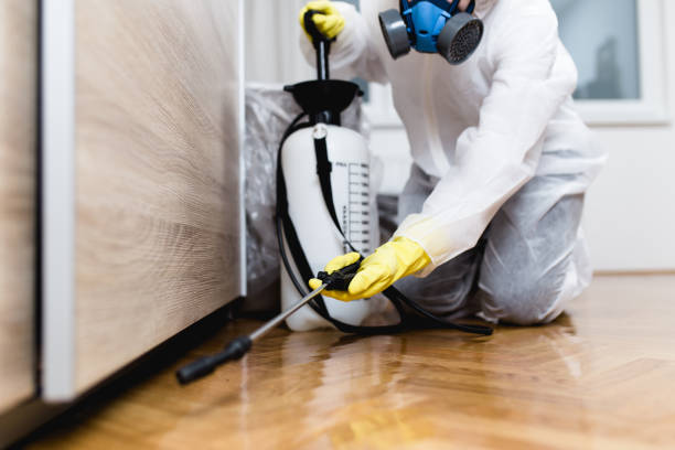 Best Ant Control Services  in Poydras, LA