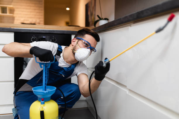 Best Pest Prevention Services  in Poydras, LA