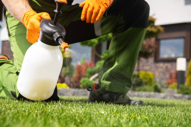 Best Wasp Removal Services  in Poydras, LA