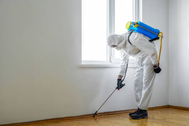 Best Pest Prevention Services  in Poydras, LA