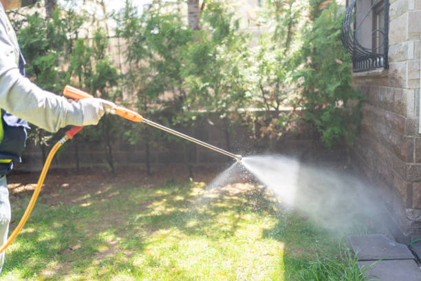 Best Pest Control Near Me in Poydras, LA